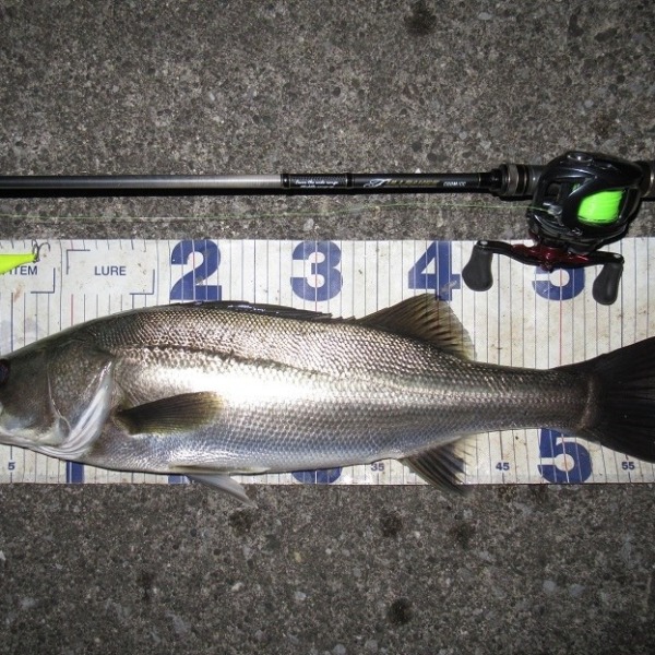 開始10分かかってないかも