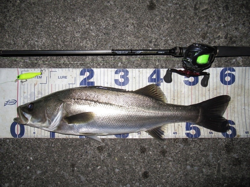 開始10分かかってないかも