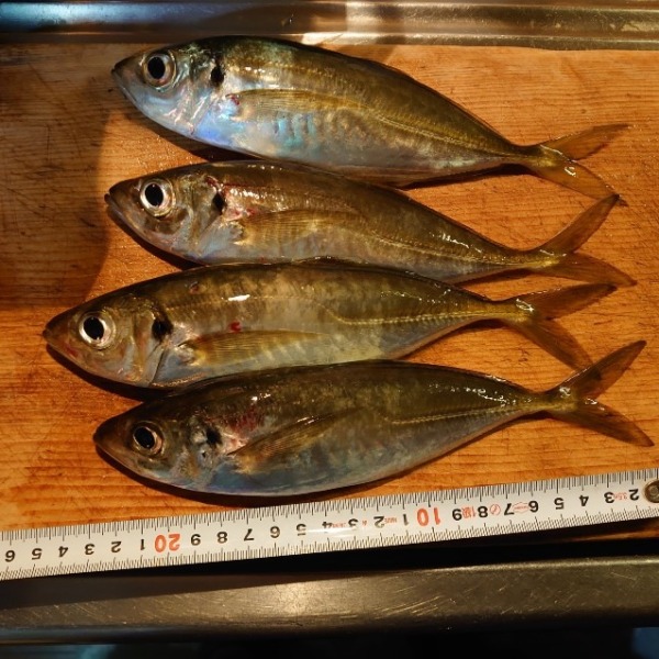 フロートアジング