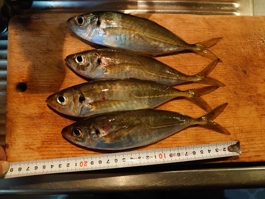 フロートアジング