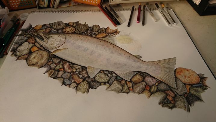 昨年釣った４２ｃｍの激太アマゴの魚拓絵を描きました。