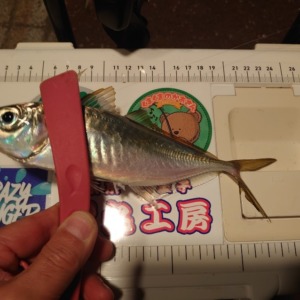 フロートアジング