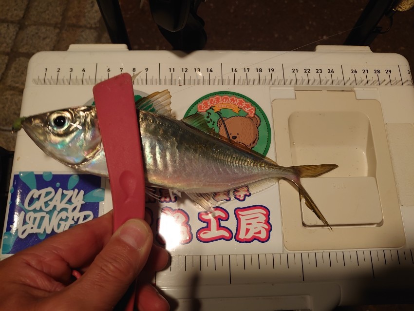 フロートアジング