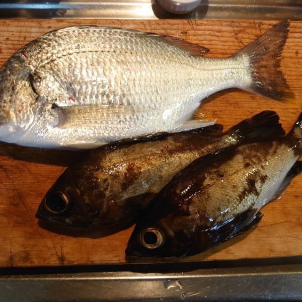 フロートアジング