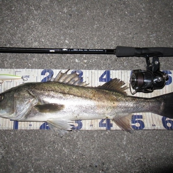 あけましたおめでとう