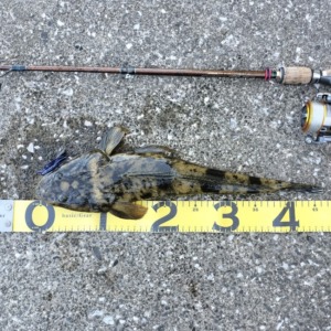 惨敗したあの場所をリベンジする🎣