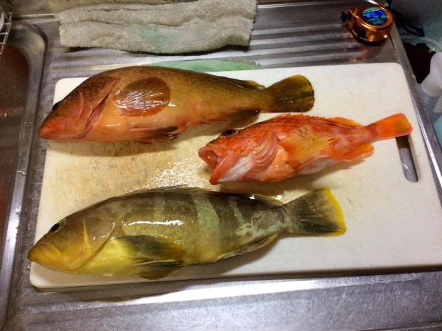 ひさしぶりの大鯛です。