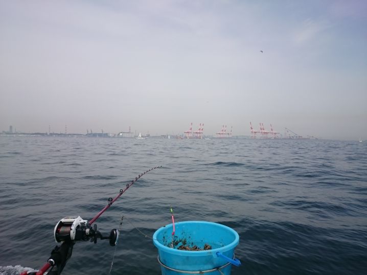 東京湾アジ釣り
