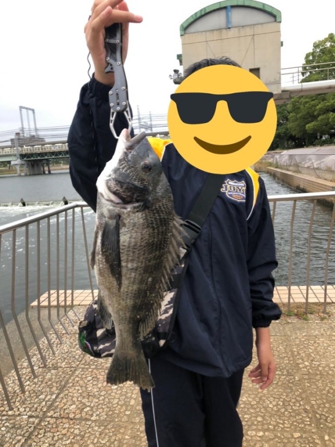 in武庫川 チヌ(黒鯛) サイズは50cmです！