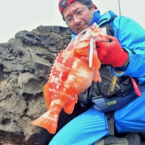 八丈島 地磯のショアジギングで特大アカハタ1.5kg!