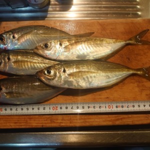 フロートアジング