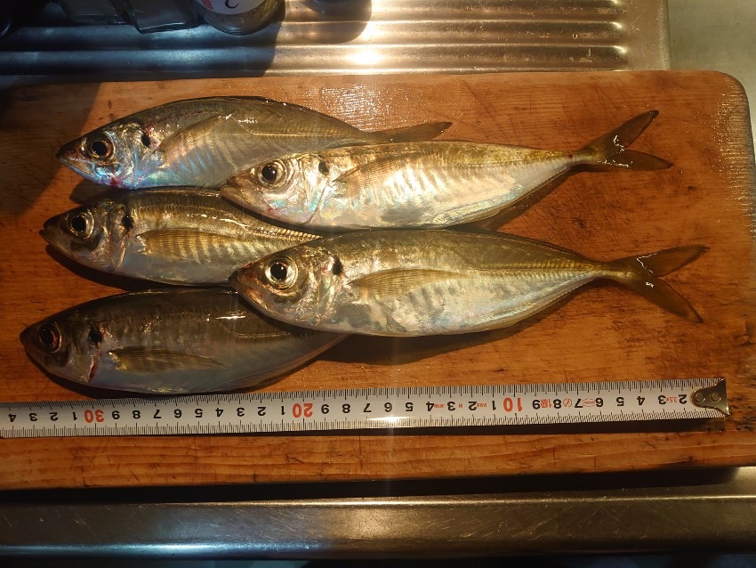 フロートアジング