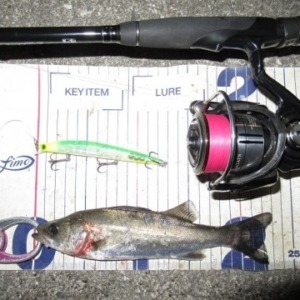 スレじゃないのよ〜