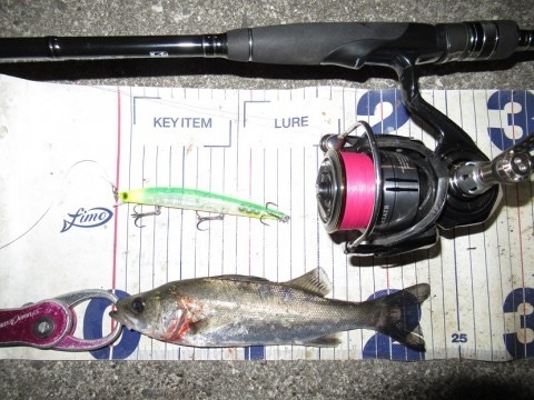 スレじゃないのよ〜