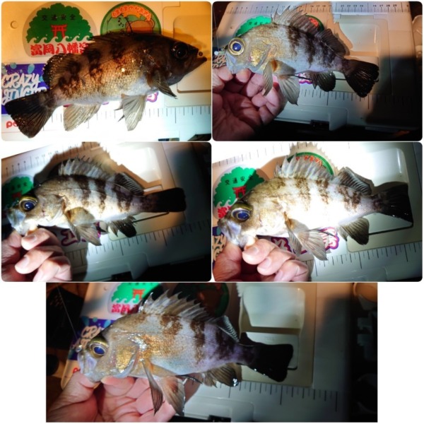 フロートアジング