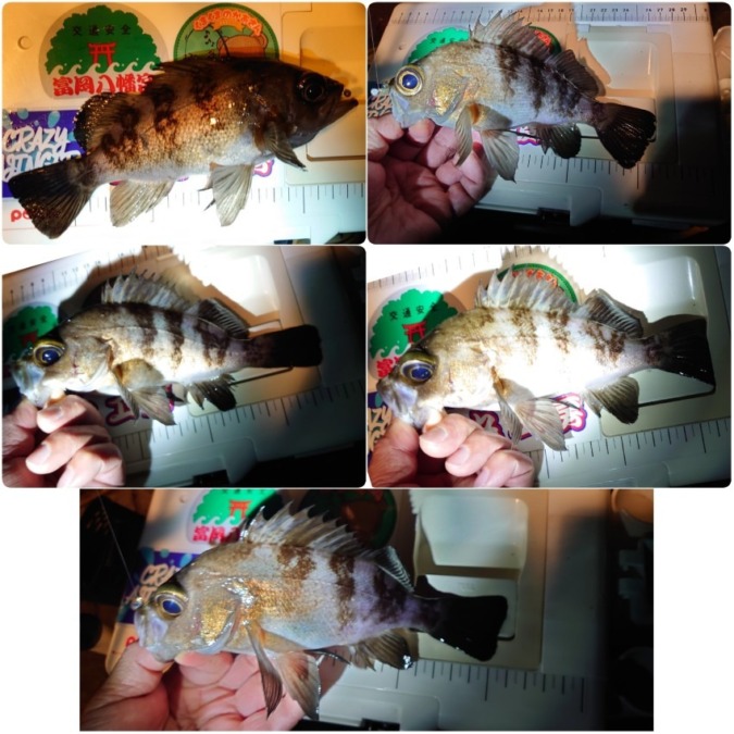 フロートアジング