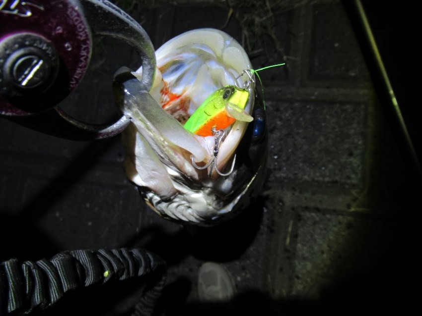 仕事帰りに近所で