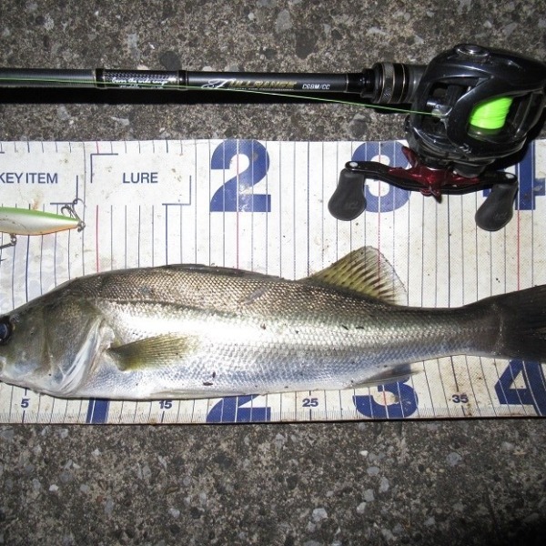 ちょこっと残業しに