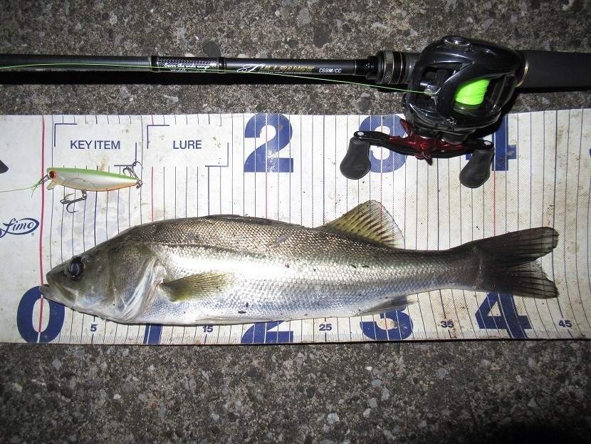 ちょこっと残業しに