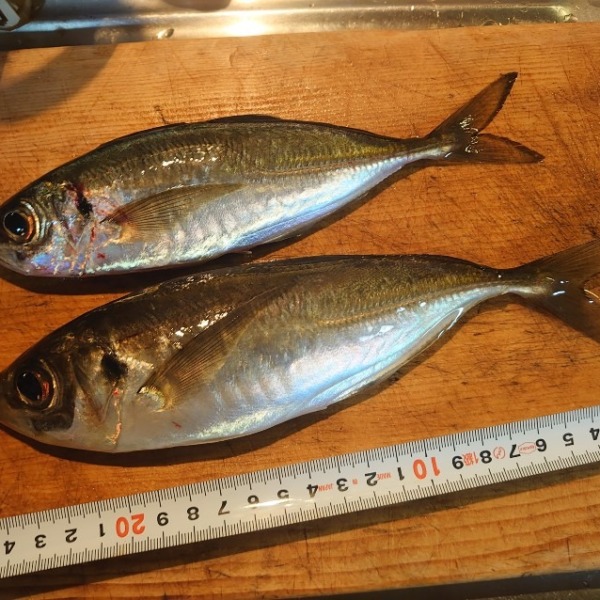 フロートアジング