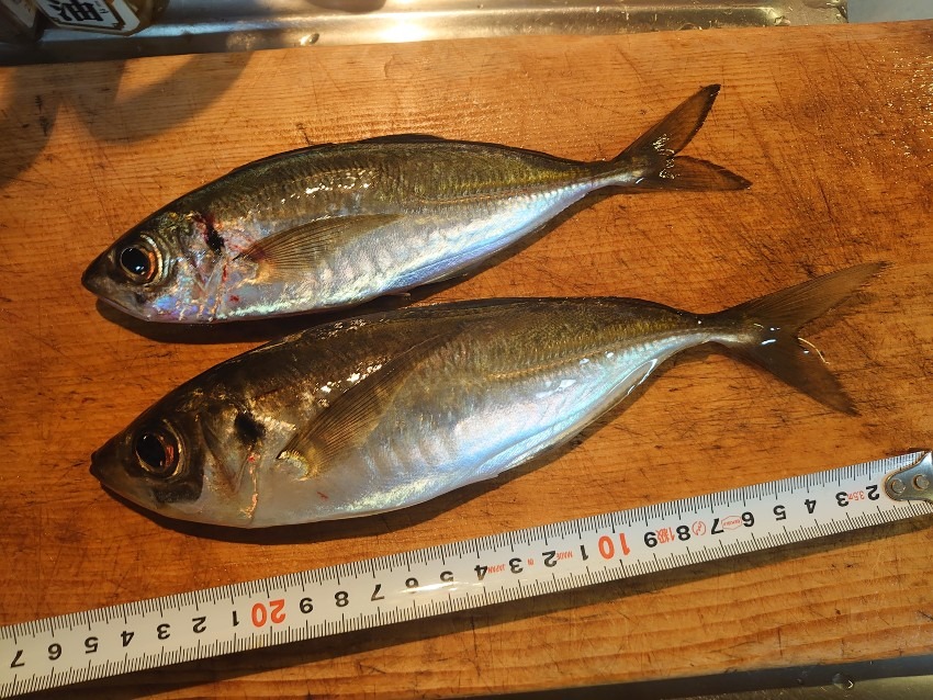 フロートアジング