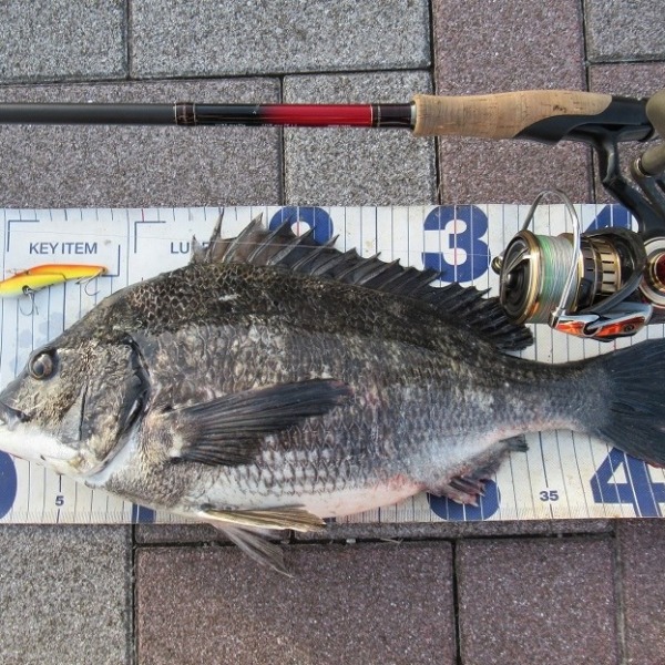 休み初日に