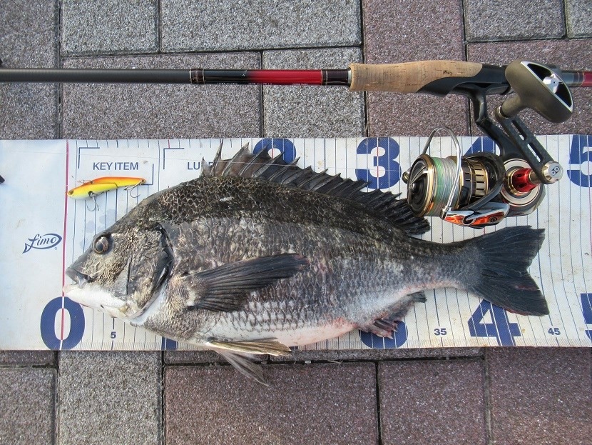 休み初日に