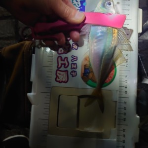 フロートアジング