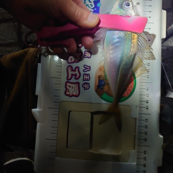 フロートアジング