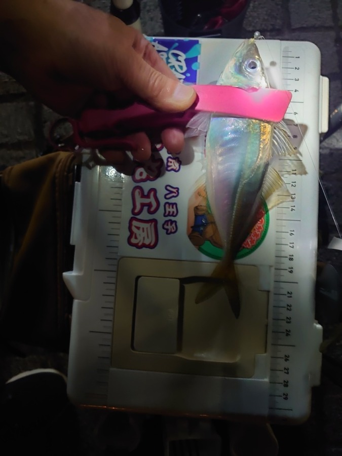 フロートアジング