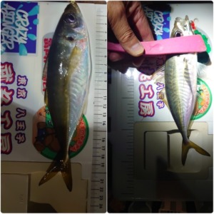 フロートアジング