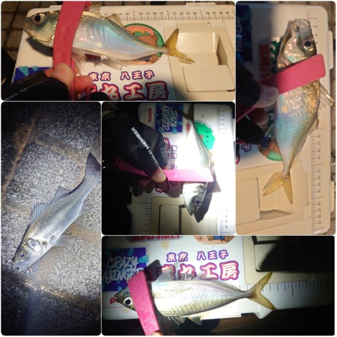 フロートアジング