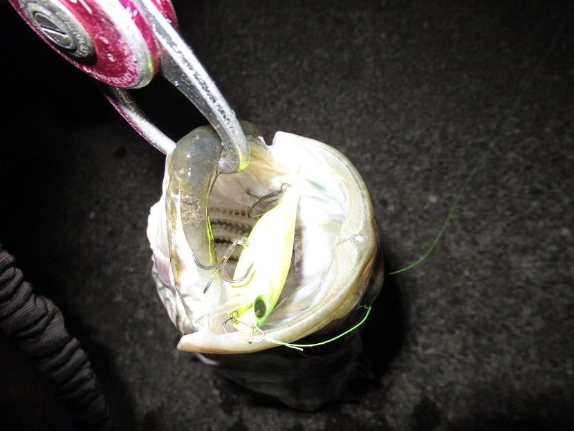 開始10分かかってないかも