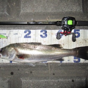 仕事帰りに近所で