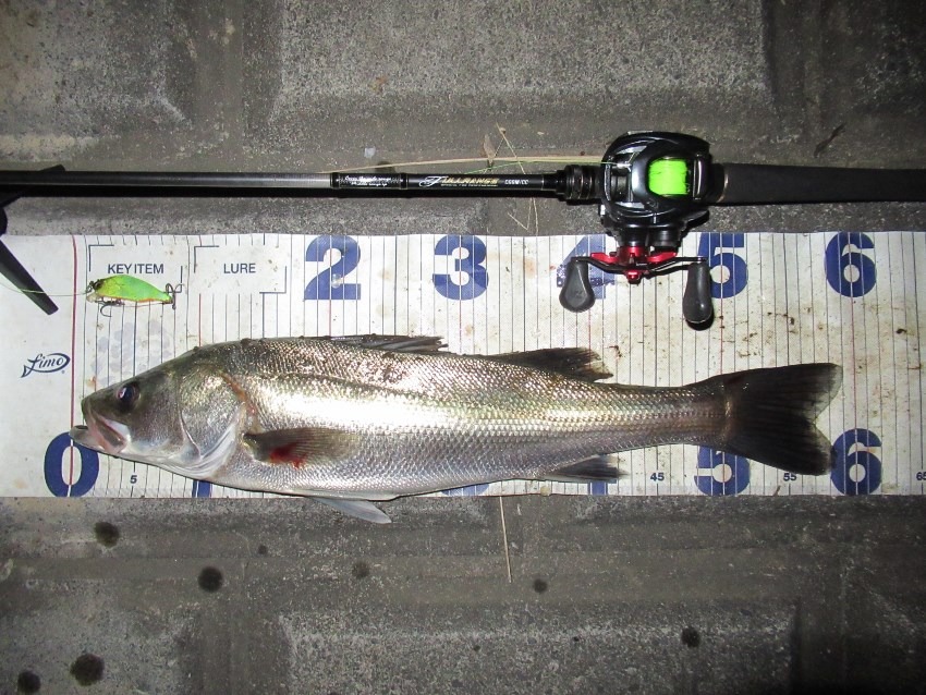 仕事帰りに近所で