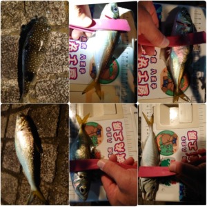 フロートアジング