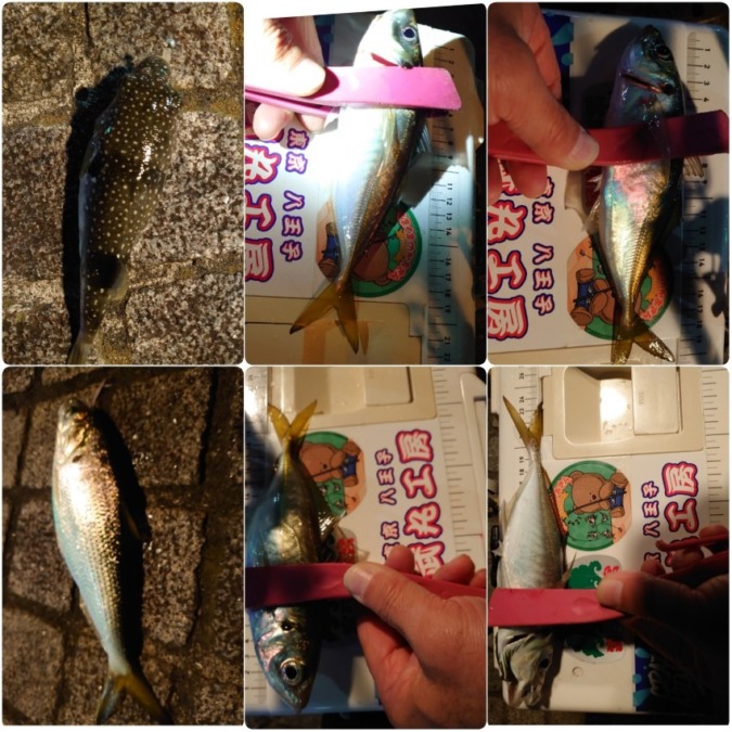 フロートアジング