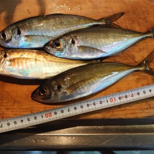 フロートアジング