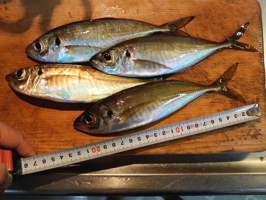 フロートアジング