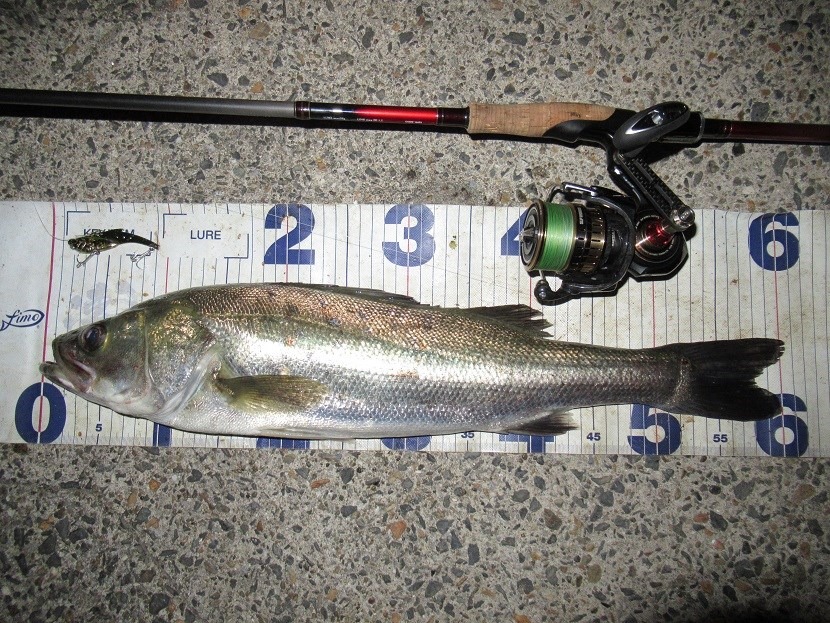 強風でも強行釣行