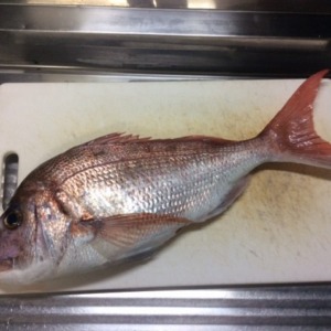 釣り倶楽部「老人会青年部」の釣行報告！