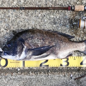ミノーの早巻きで誘う🎣