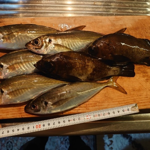 フロートアジング