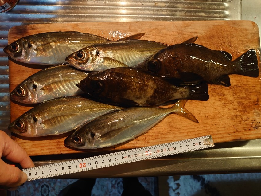 フロートアジング