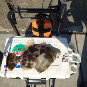 チョイ投げ