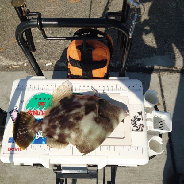 チョイ投げ