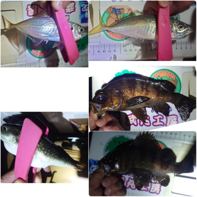 フロートアジング