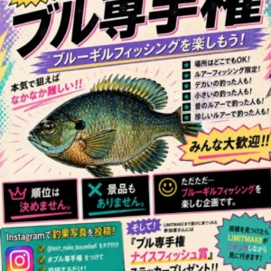 釣果ではありませんがブル選手権の告知があったのでシェアしました。