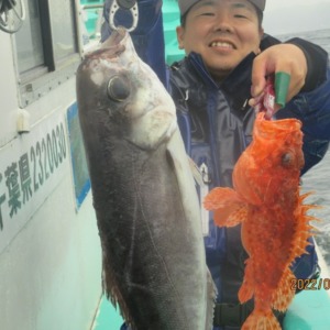 鬼カサゴ25匹、大型目鯛　釣れました(^_-)-☆