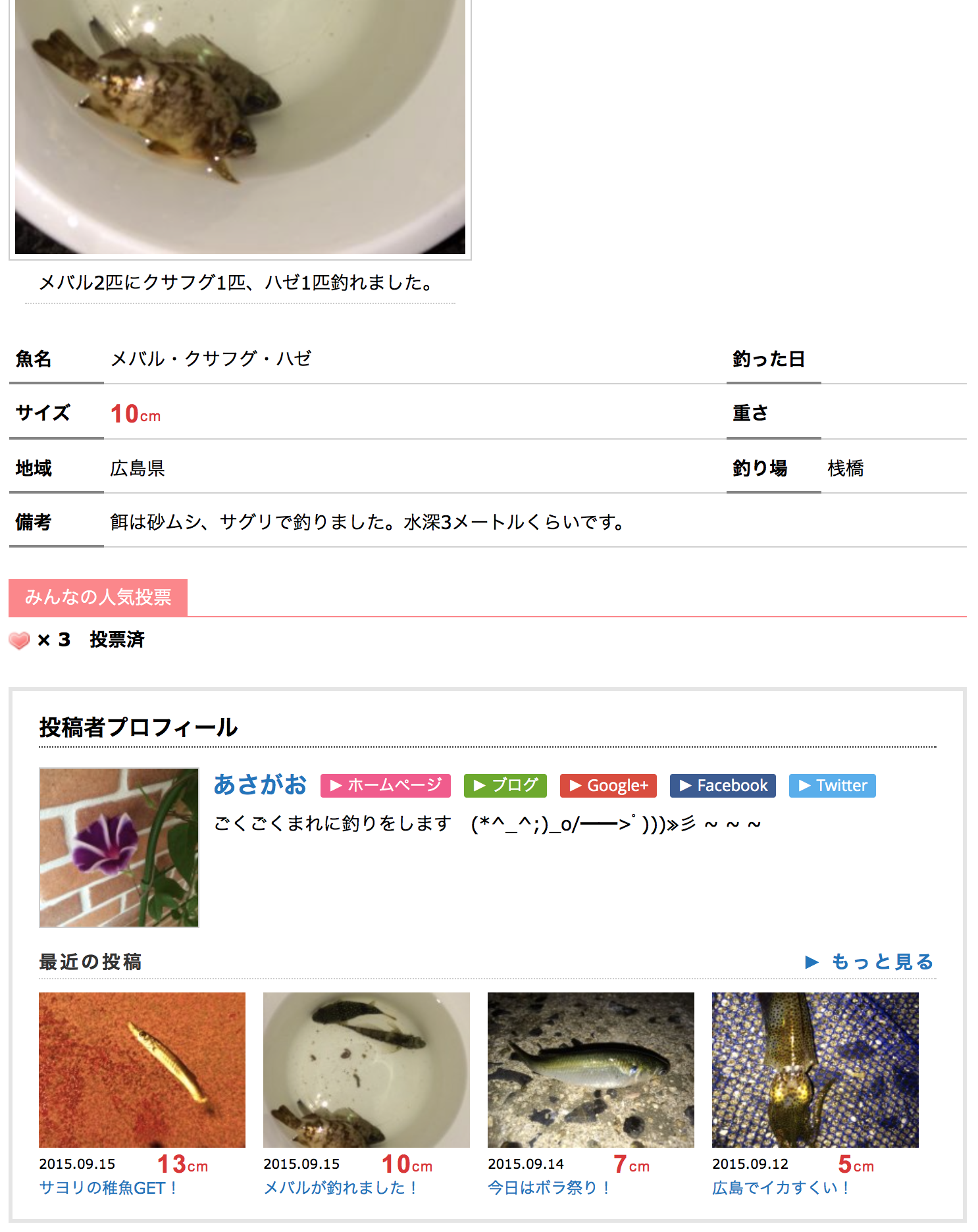 プロフィールの見え方